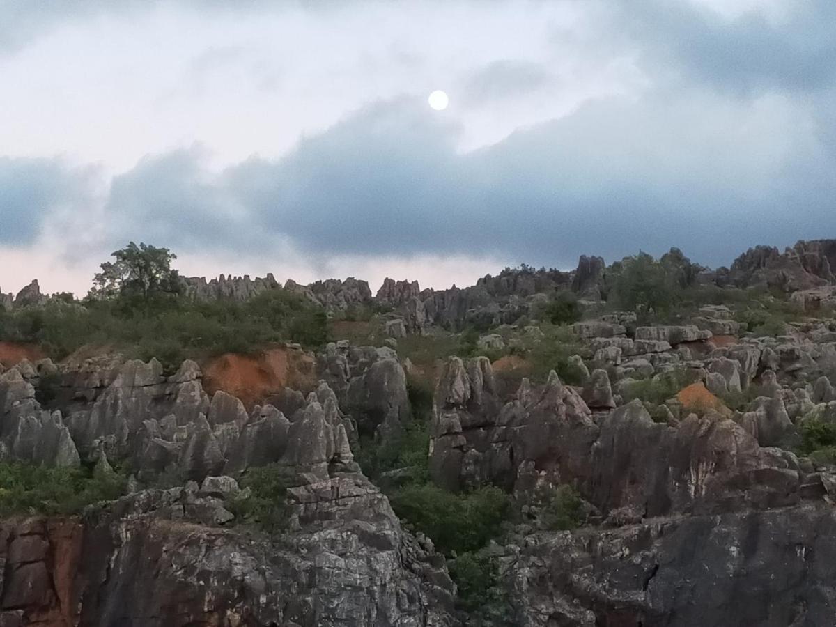 Casa Rural Nacimiento Del Hueznar - Tomillo 17 San Nicolás del Puerto 外观 照片