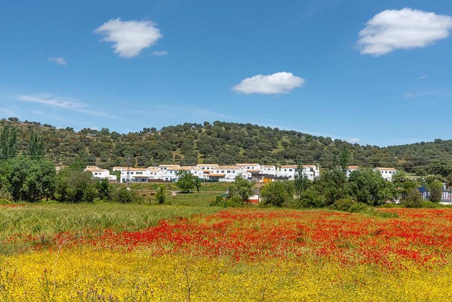 Casa Rural Nacimiento Del Hueznar - Tomillo 17 San Nicolás del Puerto 外观 照片